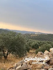  1 اجمل قطعه ارض للبيع جرش جبا مطله على الغرب 4000متر مفروزه بقوشان مستقل مقابل ثغرة عصفور