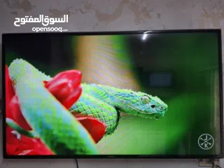  3 شاشات بتغيّر جو البيت كلو  أحجام بتناسب كل بيت وكل مساحة  جميع التحجام والانواع