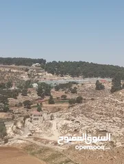  14 5300م حوض الروضه حوض المصدار بسعر لقطه طاله على سيل حسبان