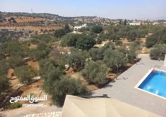  11 مزرعه للبيع في زي