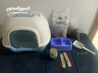  1 مستلزمات قطه نوعييات ممتازه جدا  وبسعر ممتاز مناسب     جميع الاغراض مضمونه ومكفوله