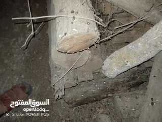  29 تشكيلة حطب للبيع