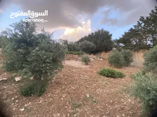  6 للبيع: أرض بإطلالة خلابة وموقع هادئ في دابوق من المالك مباشرة فيها منسوب