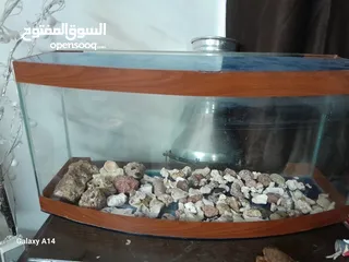  7 احواض سمك للبيع بجوده عاليه