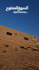  10 بيت للبيع  الزعتري