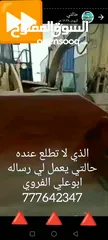  31 فولفو وارد بضاعه