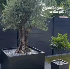  3 تفصيل قواوير فايبر جلاس بشكل عصري أنيق  زراعة وتسميد النباتات الداخلية والخارجية بإشراف مهندسين