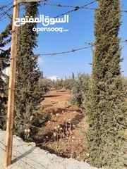  2 6 دنمات مخدومات منطقة مزارع وشاليهات