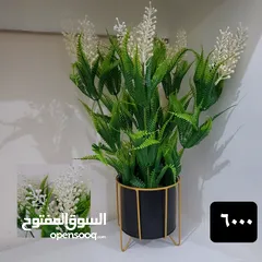  13 روز باتيلز