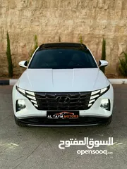  3 توسان هايبرد الحبه المميزه فل الفل إضافات N LIEN