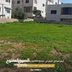  2 أرض سكني للبيع في ضاحية الأمير راشد