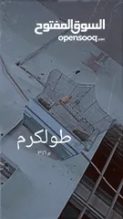  1 عصفور كناري ذكر حبه نادره جاهز للجواز  مع قفص لا يوجد توصيل طولكرم الموقع رن على الرقم السعر فقط 100