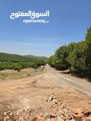  22 راس منيف 2 دونم راس منيف قوشان مستقل  عاليه و كاشفه  من مالك مباشره قريبه من جميع الخدمات راقيه