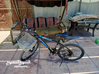  3 بسكليت ترينيكس بحال الوكالة 26 للبيع او البدل على دجاج