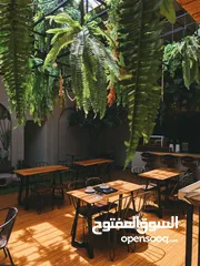  10 For sale Thriving Restaurant & Shisha Cafe للبيع مطعم ومقهى شيشة مزدهر في موقع متميز في بر دبي