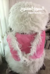  1 دبدوب كبير شبه مستعمل