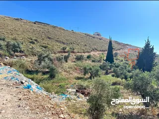  2 ارض 588 م منطقه العمدان ، كوشان مستقل بالنمره