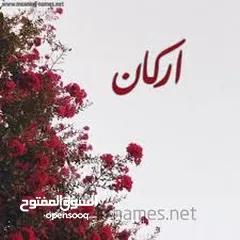  1 شقة للأيجار زاوية الدهماني بلقرب من الخارجيه الدور الخامس يوجد مصعد كهربائي تتكون من صالة استقبال