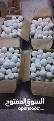  6 جميد بلدي جميد كركي سمنه بلدي جبنة غنم