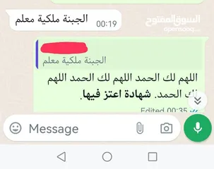  4 جبنة غنم صافي بيضاء مغلية 