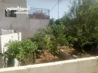  11 منزل مستقل جرش اسكان عجرمه  3غرف نوم 2حمام  صاله مع مطبخ امريكي  بلكونه  حديقه مساحه الارض 305