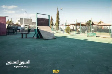  11 فندق ومركز تدريب للكلاب