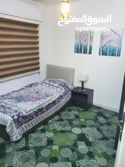  6 مطلوب شريك سكن لشقة مفروشة في عبدون