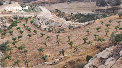  4 أرض في بيت كاحل مطلة على واد القف  شارع هيكلي لها من واد القف عرض 8 متر وشارع عرض 6م من بيت كاحل