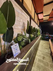  7 مزرعة وشاليه الغزال / الاردن - عمان - بيرين - صروت