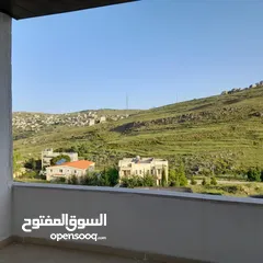  2 شقق للايجار في جبل لبنان