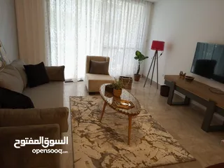  13 Luxury furnished apartment for rent in Damac Abdali Tower. Amman Boulevard 45