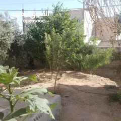  17 منزل للبيع قصر حلابات غربي قرب مصانع طيبه