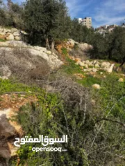  15 أرض للبيع بإطلالة غربية واصل جميع الخدمات