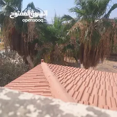  3 قرميد للبيع كامل مع الحديد والباب