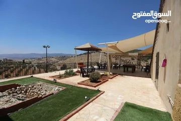  11 مزرعة تلعة الرز المصطبة  شمال عمان   