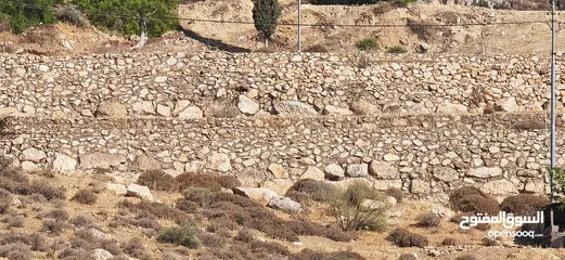  19 ارض زاعي سكني فلل