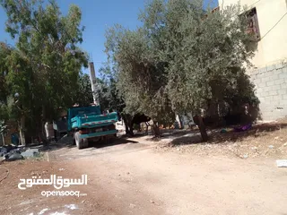  3 ارض مستقله