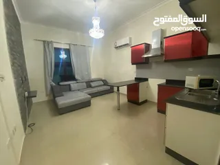  2 1bhk fully furnished