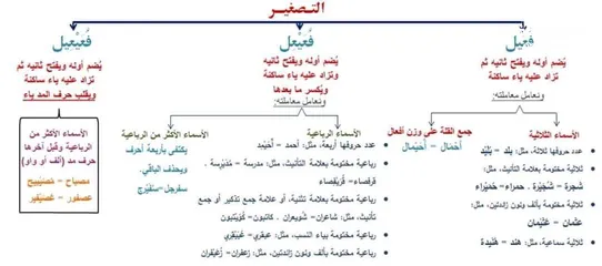  5 معلم لغة عربية المرحلة الثانوية