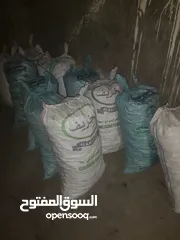  1 فحم غاف جواني كبيره