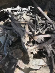  10 حطب زيتون ولوز يابس درجة أولى متين وسميك مثالي للتعبئة والشوي ومتوفر بكميات وبتسعيرة منافسة
