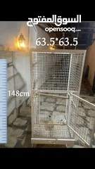  5 قفص كاسكو و قفص مكاو