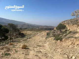  23 ارض للبيع / الصبيحي 18 دونم تقع على شارع رئيسي ‏بإطلالة مميزة وجميلة ويوجد بجانبها مطعم