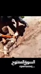  6 لحام جزار متنقل