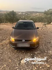  4 بولو جير عادي الحبة النادرة باللون و الجمال و الفحص