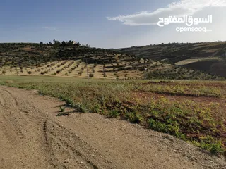  8 قطعة أرض مميزة للبيع في السلط الصبيحي قصيب مرتفعة ومطلة بسعر مغري