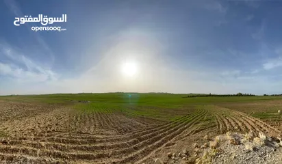  1 قطعة ارض للبيع جلول دونم 1000 متر مربع قرب التنظيم مباشرة شوارع مميزة