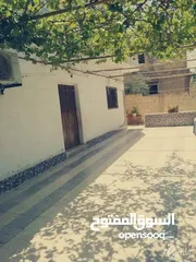  10 بيت مستقل للبيع