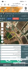  1 عماد فايق عيسى