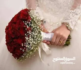  23 مرسيدس ابتداء من 60 دينار